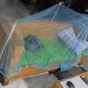 I can't tell you how happy I am with this! My makeshift mosquito net on this small hard sofa has at least given me a chance at sleep.