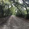 Picture this road in pitch black in a torrential tropical downpour. Now picture walking down this with no shoes. LOL