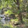 This is just something along the path, not one of the seven falls! 